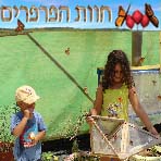 חוות הפרפרים